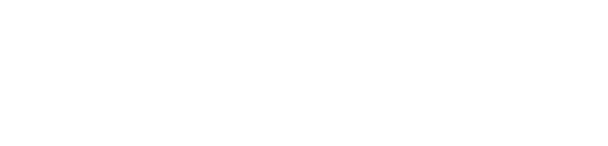 New Zealand Government Logo